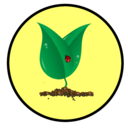 growing seedling icon